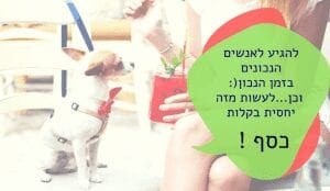 לעשות כסף מהבית באמצעות השגחה על כלבים